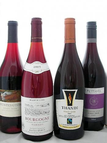 Amazon.co.jp: 世界のピノ・ノワール4本セット【Pinot Noir